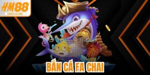 Bắn Cá FA Chai