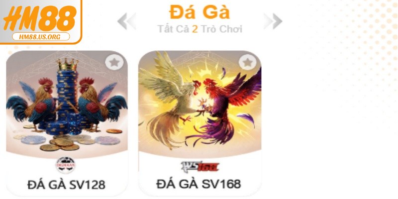 Đá gà HM88 là sân chơi được cộng đồng yêu thích
