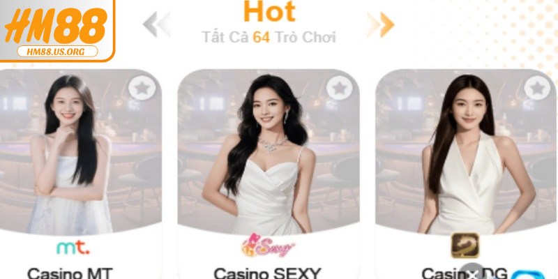 Tổng hợp các vấn đề thường gặp tại HM88