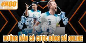 Hướng Dẫn Cá Cược Bóng Đá Online