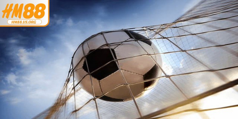 Bí quyết bắt kèo rung hiệu quả như cao thủ