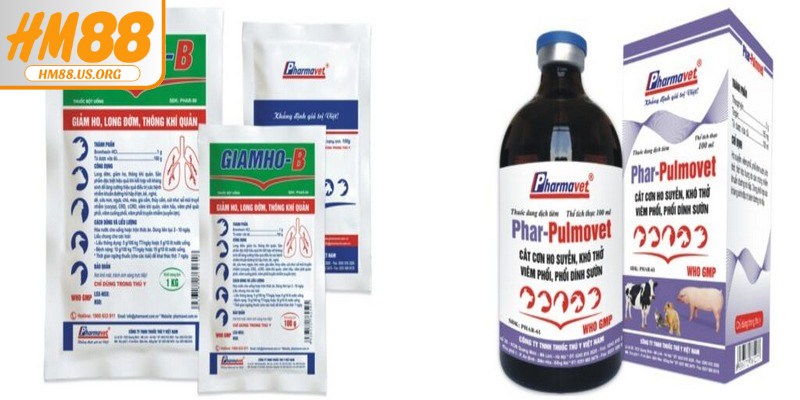 Các loại thuốc điều trị bệnh ORT trên gà hiệu quả cao, nhanh hồi phục