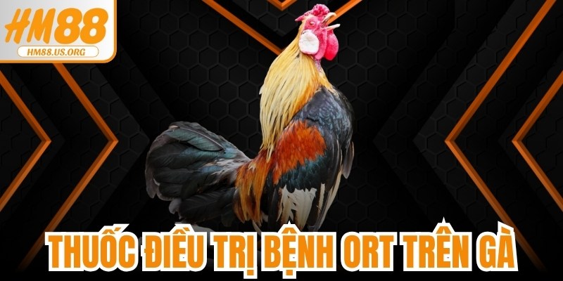 Thuốc Điều Trị Bệnh ORT Trên Gà